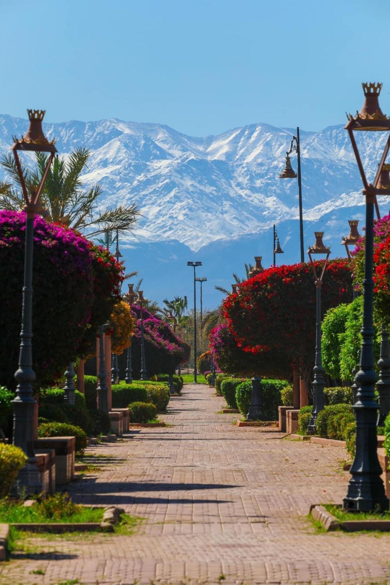 Riad Majestic Marrakech マラケシュ エクステリア 写真
