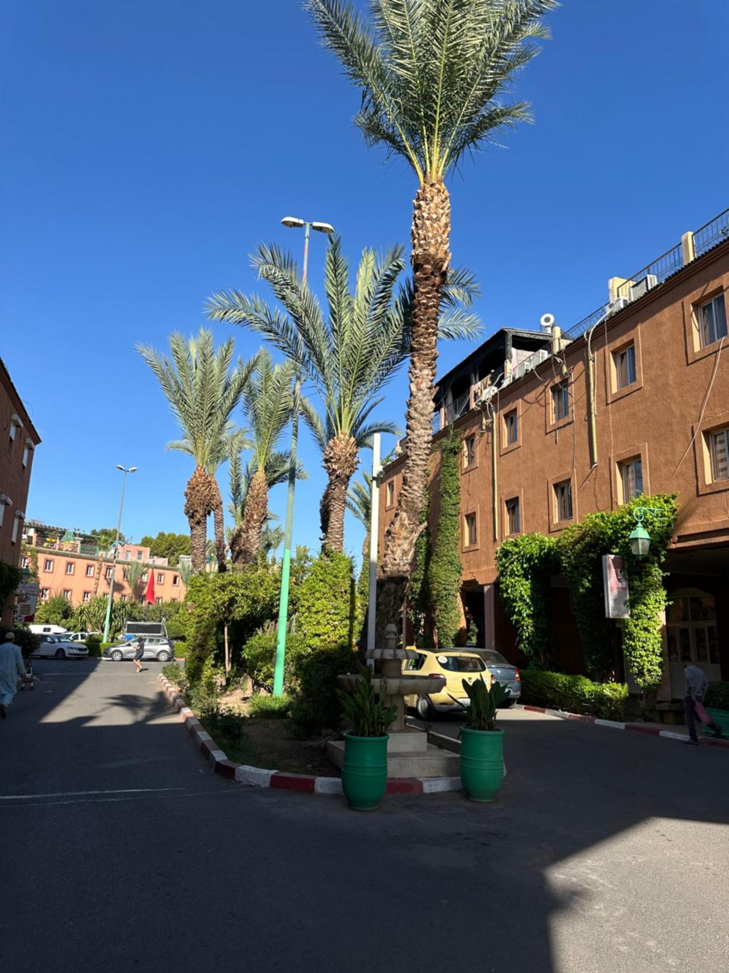 Riad Majestic Marrakech マラケシュ エクステリア 写真