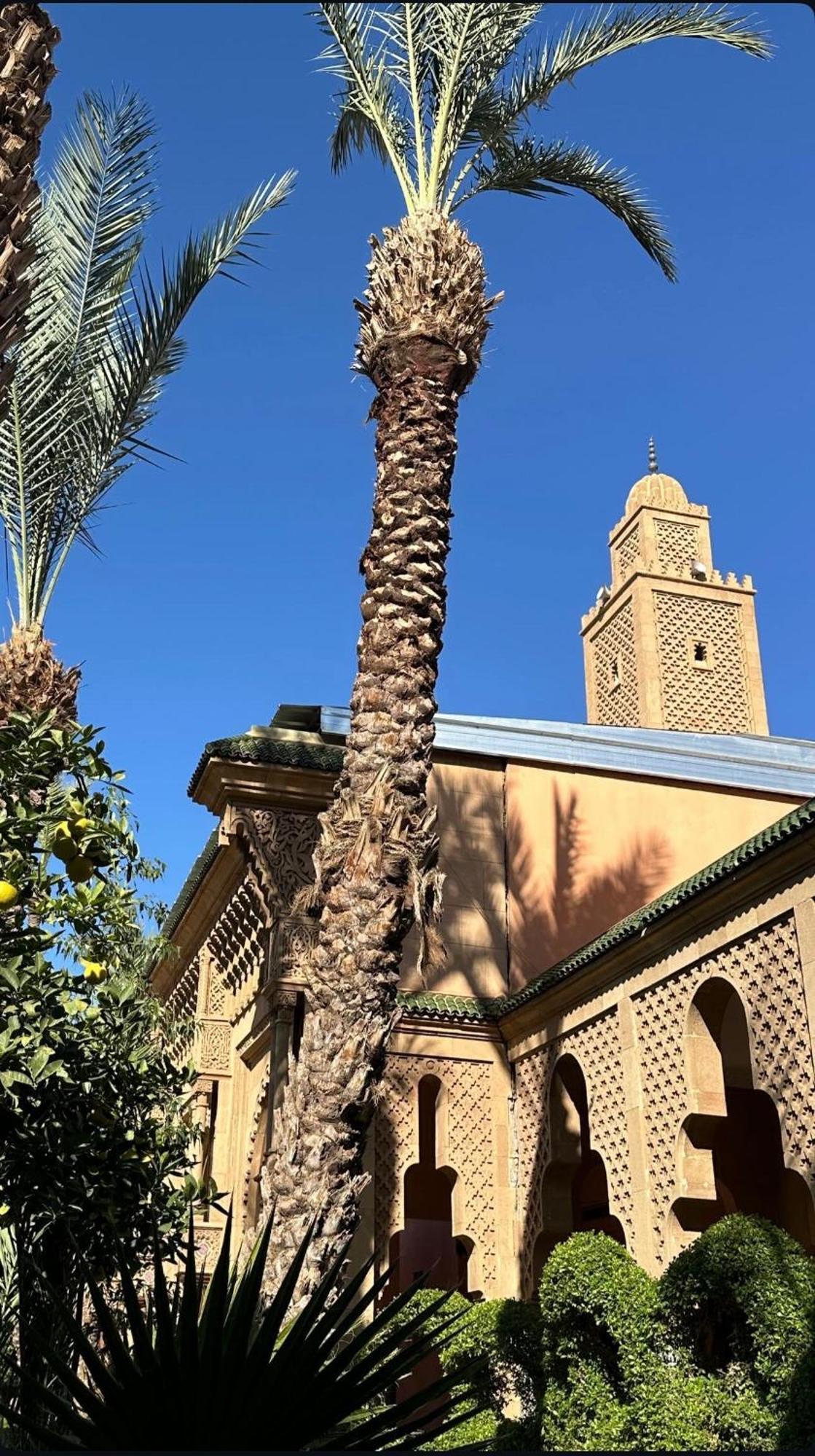 Riad Majestic Marrakech マラケシュ エクステリア 写真